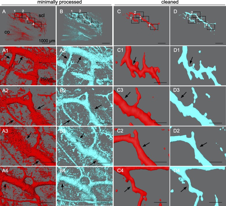 Figure 7