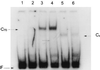 FIG. 6