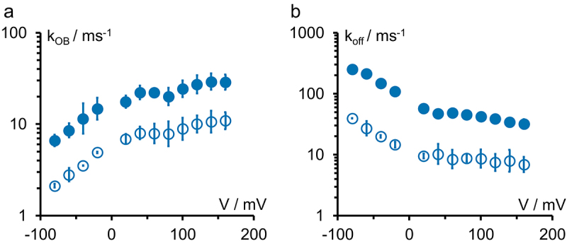 Panel A shows the rate constant kOB of TPrA binding for KcvNTS and KcvS. The curve for KcvNTS lies higher than that for KcvS. Both rise with positive voltages. Panel B shows the rate constant kBO of TPrA dissociation for KcvNTS and KcvS. The curve for KcvNTS lies higher than that of KcvS. Both decrease with positive voltages.