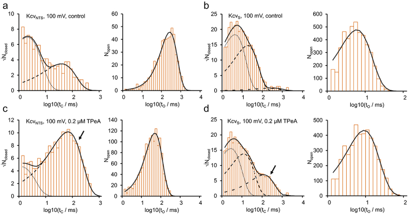 The figure shows dwell time histograms for both KcvNTS and KcvS with and without the blocker TPeA. All open-time histograms are well fitted with a single exponential function. The closed-time histograms of KcvNTS are well fitted with two exponential functions. With 200 nM TPeA, the amplitude factor for state C2 increases. The closed-time histograms of KcvS are well fitted with three exponential functions. With 200 nM TPeA, the amplitude factor for state C3 increases.