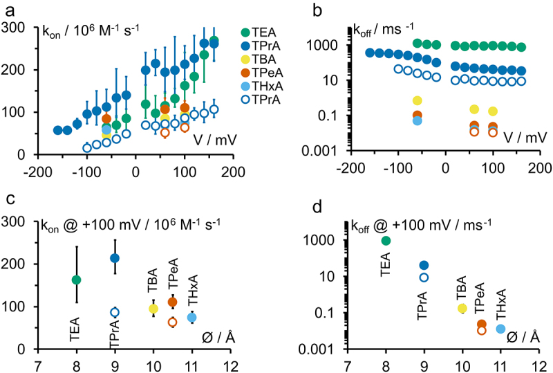 Panel A shows the on-rates kon for all blockers on both channels plotted over the membrane voltage. They all increase with positive voltages. There is no significant influence of blocker size. Panel B shows the off-rates koff for all blockers on both channels plotted over the membrane voltage. They all increase with negative voltages. There is a large decrease with increasing blocker size. Panels C and D plot the data points for +100 mV over the blocker size. There is no trend for kon, but koff is clearly decreased by increasing blocker size.