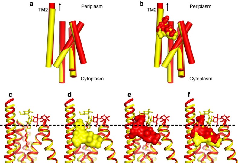 Figure 6