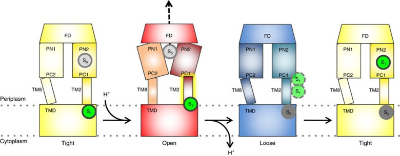 Figure 7