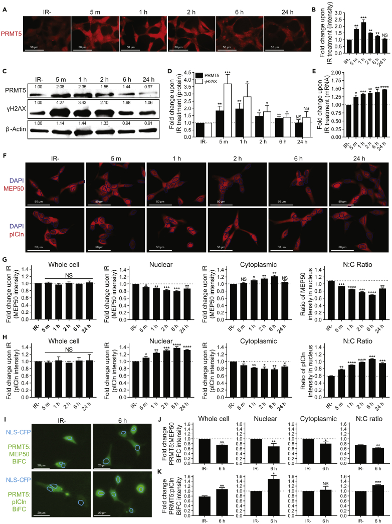 Figure 6