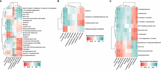 Figure 4