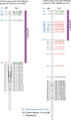 Supplementary figure 2