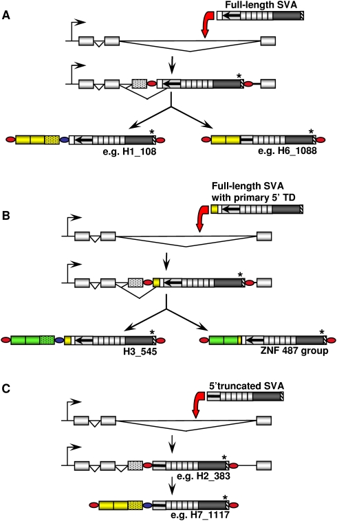 Figure 6.