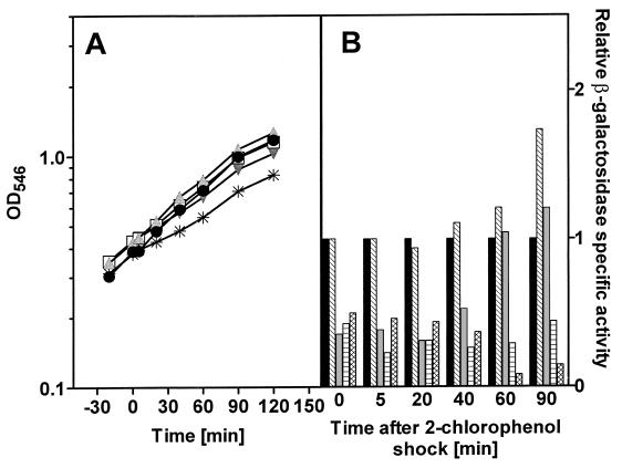 FIG. 6