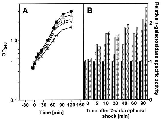 FIG. 5