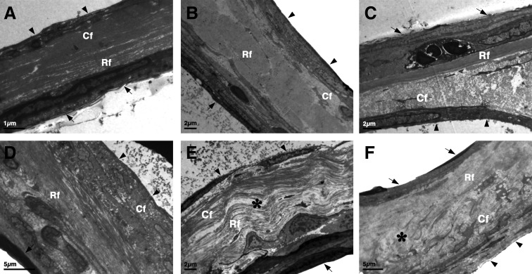 FIG. 6.