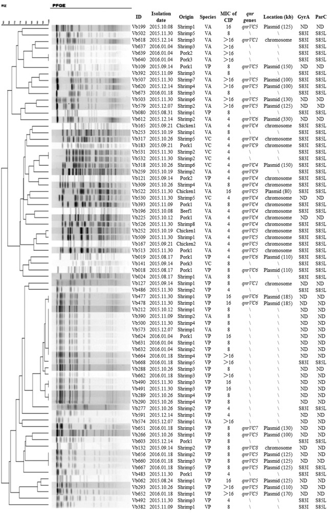 FIG 1