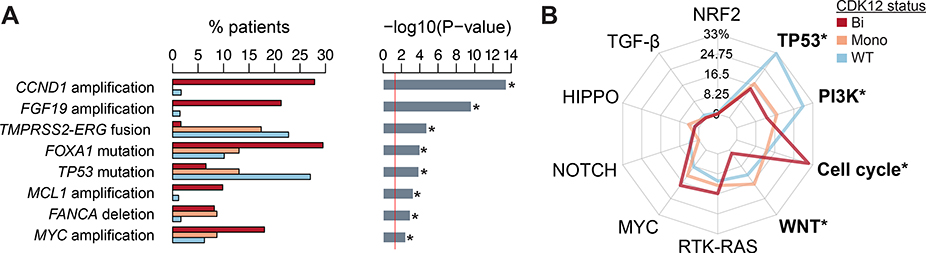 Fig. 3 –