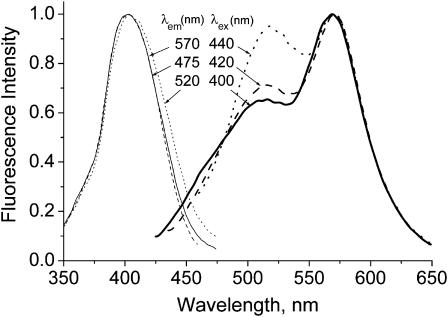 FIGURE 2