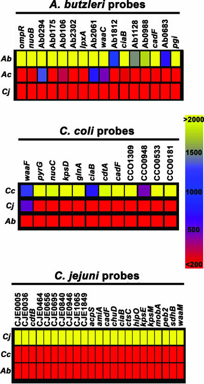 FIG. 1.