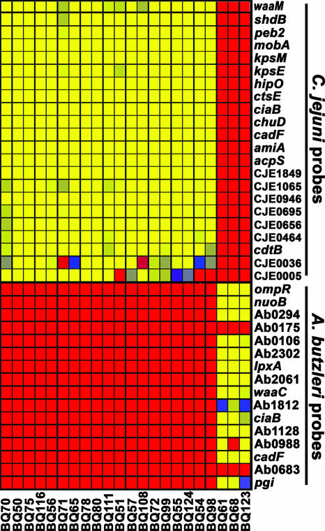 FIG. 3.