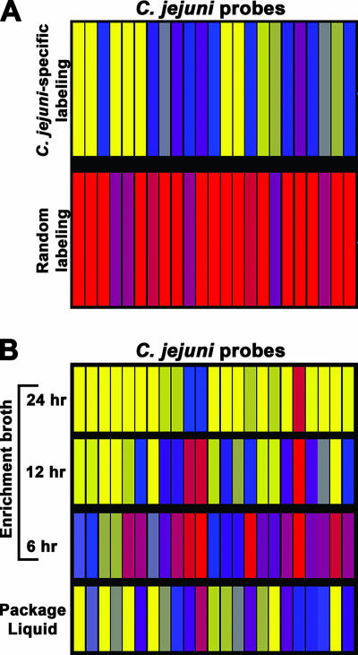 FIG. 7.