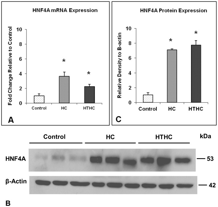 Figure 22