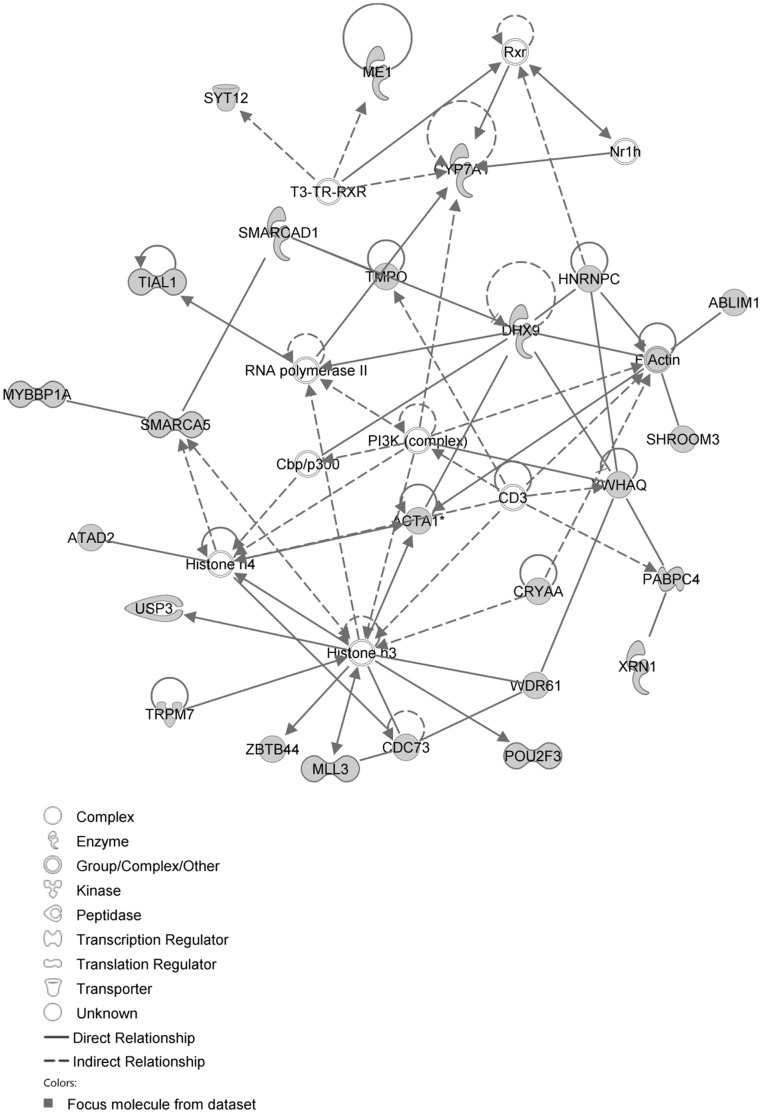 Figure 10