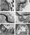 Figure 21