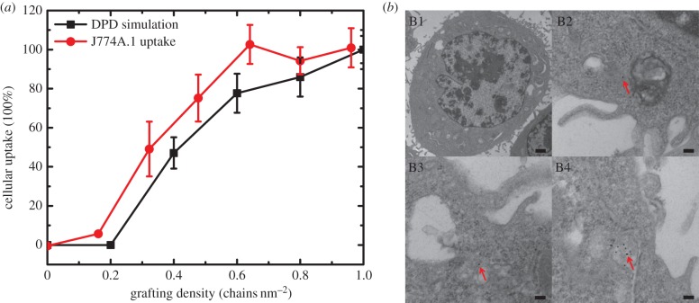 Figure 10.