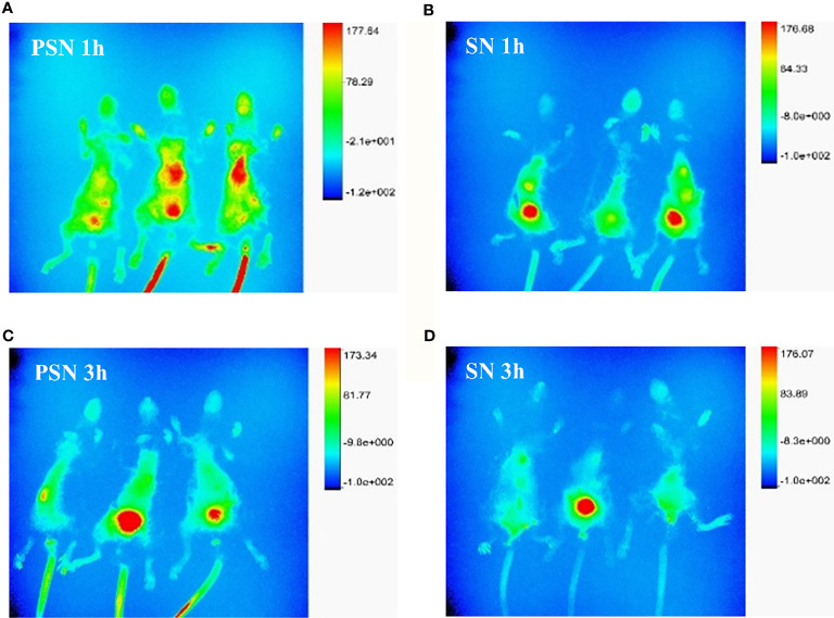 Figure 11