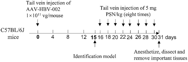 Figure 2