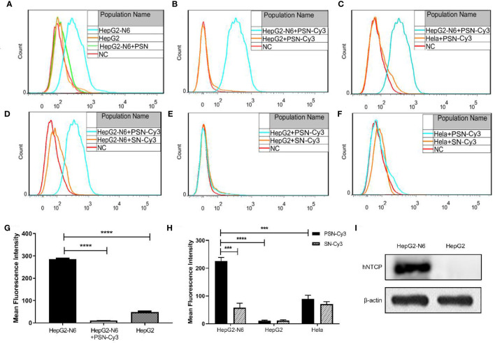 Figure 6