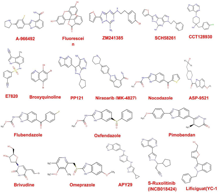 Figure 2