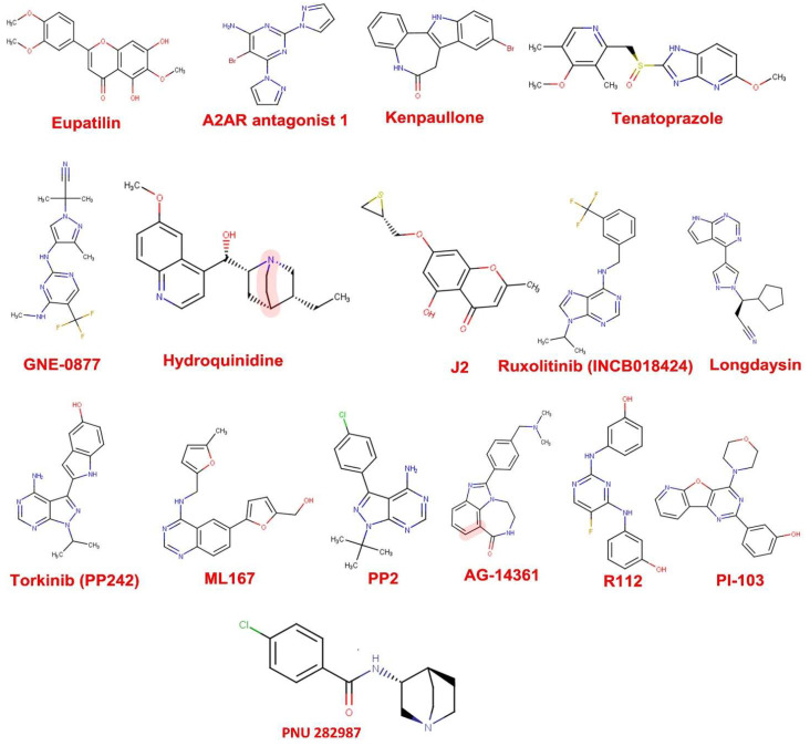 Figure 2