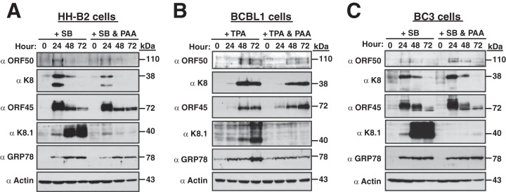 FIG 11