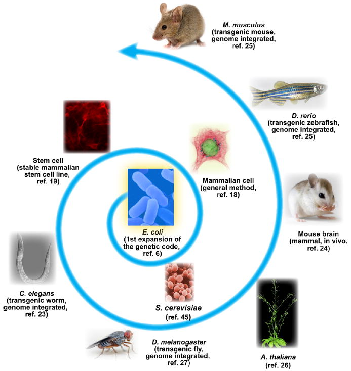 Figure 7