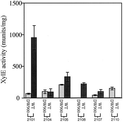 FIG. 3