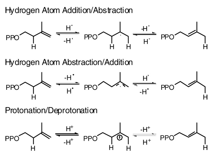 Scheme 2