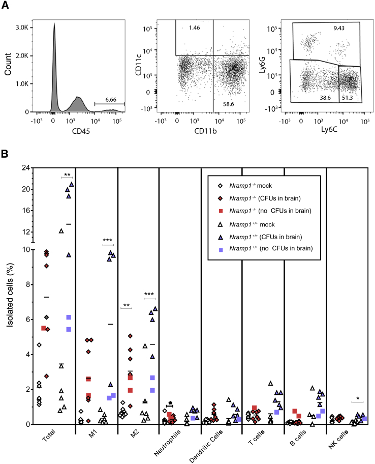 Figure 3