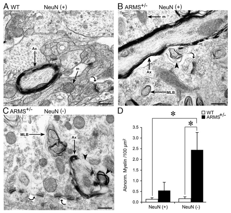 Fig. 6