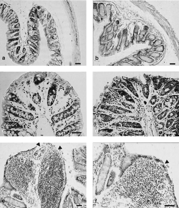 FIG. 8.