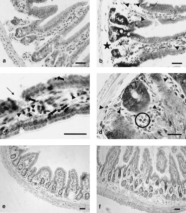 FIG. 7.