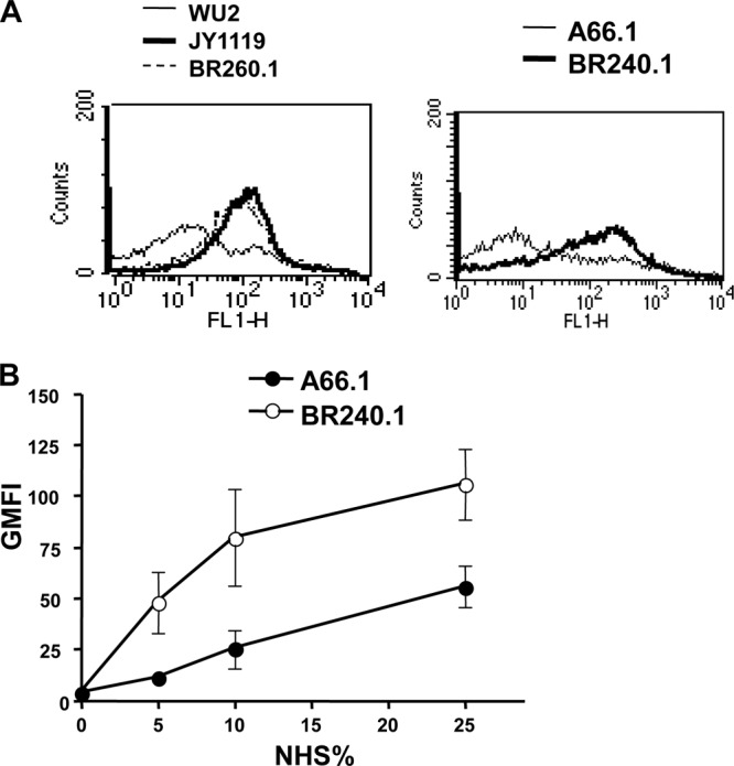 Fig 1