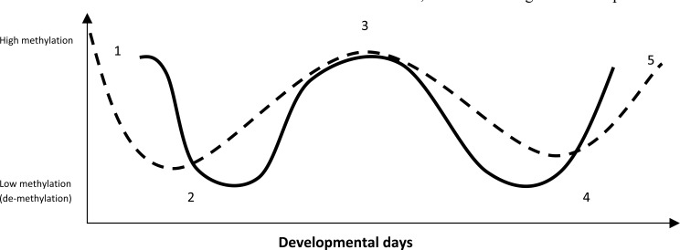 Fig. (1)