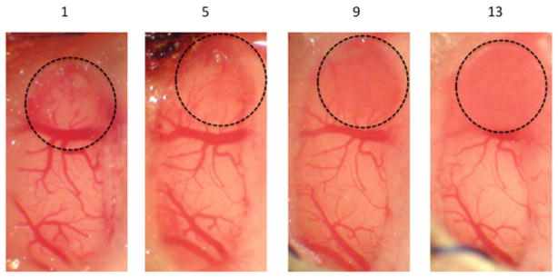 Fig. 2