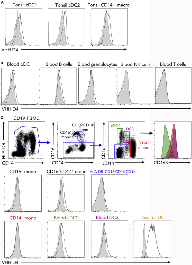 Figure 2