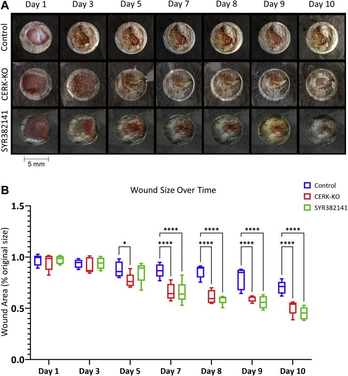 Fig. 2