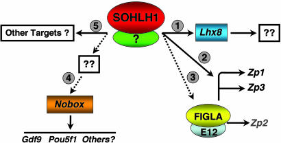 Fig. 7.