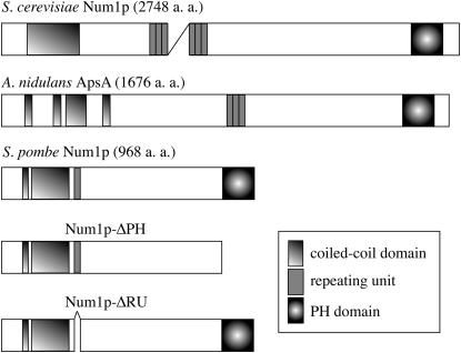 Figure 1.—