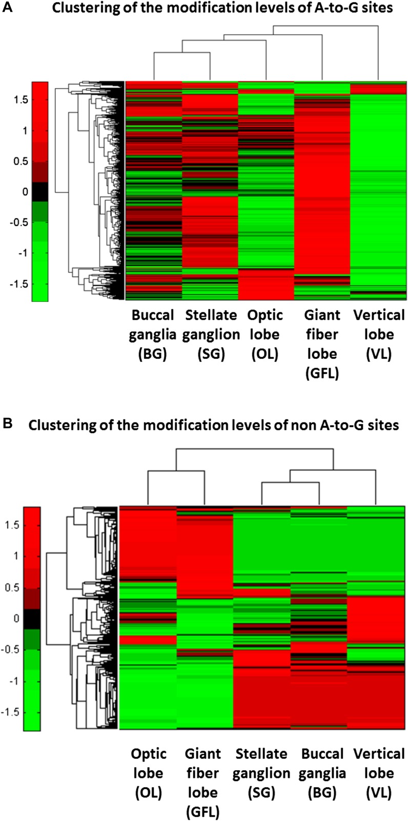 Figure 2—figure supplement 2.