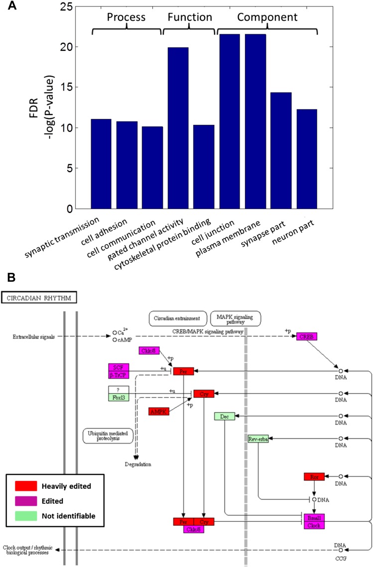 Figure 4—figure supplement 1.