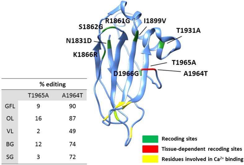 Figure 3—figure supplement 1.