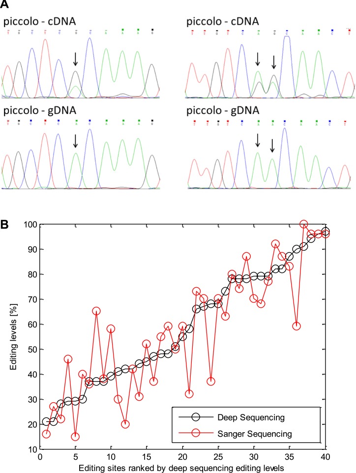 Figure 2—figure supplement 3.