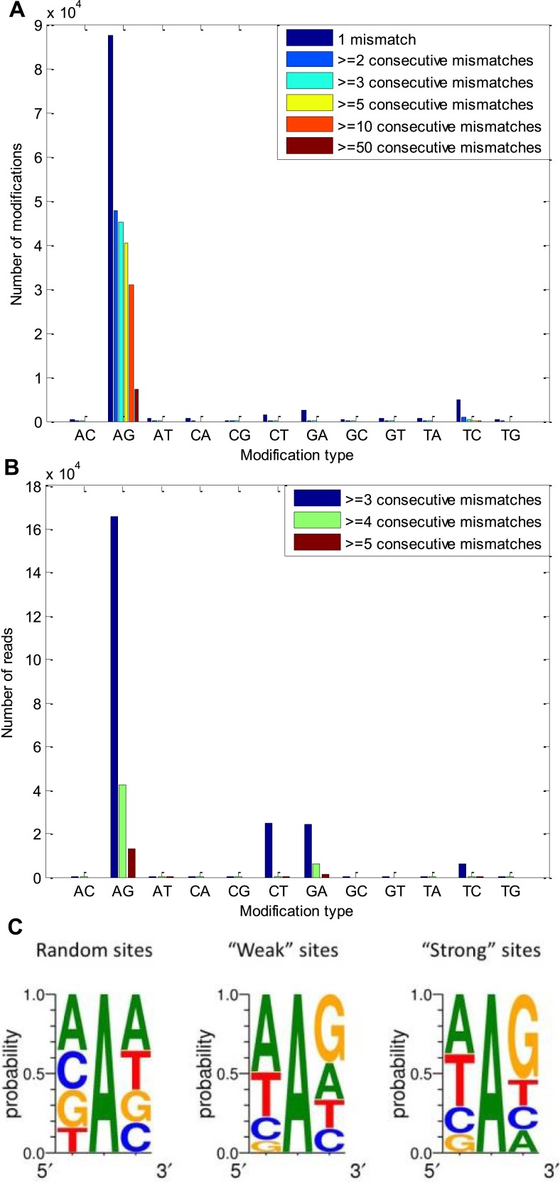 Figure 2—figure supplement 1.