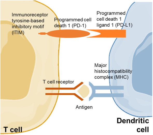 Figure 1